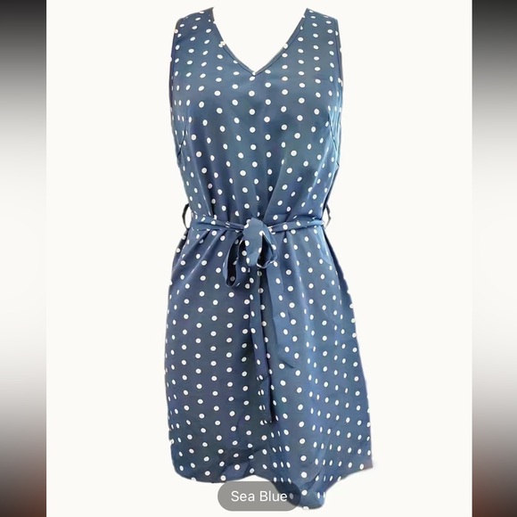 2/$15 Nwt Polka Dot belted dress - Picture 1 of 7